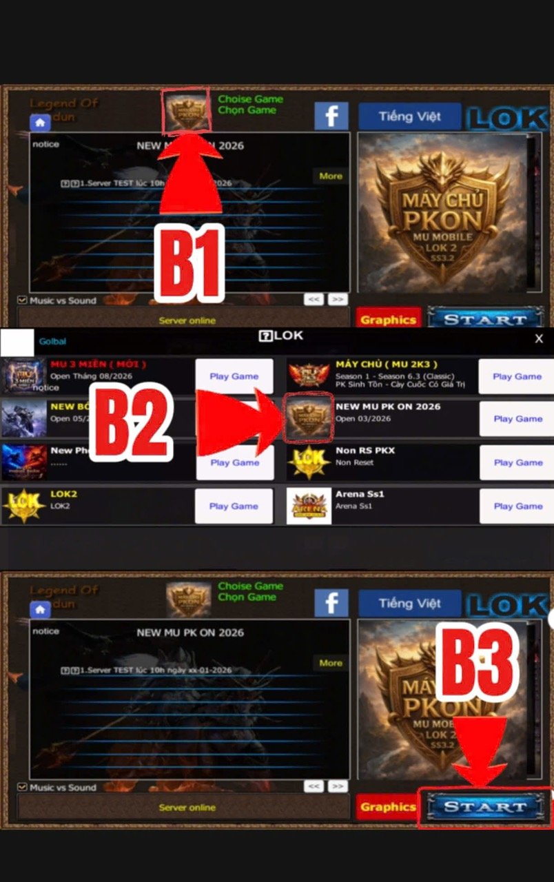 Hướng dẫn server